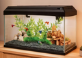 Aquarium AA BASIC 50+ Noir – 50 L avec LED et filtration